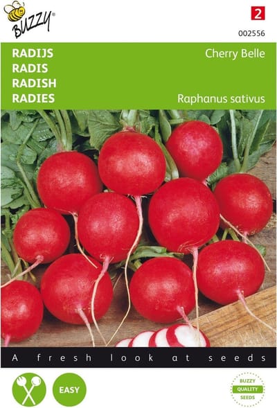 Buzzy® Radijs Cherry Belle
