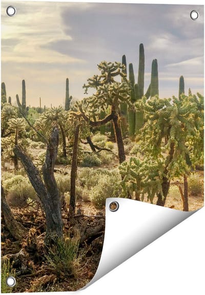 Gards Tuinposter Cactus Planten in het Wild - 40x50 cm - Tuindoek - Tuindecoratie - Wanddecoratie buiten - Tuinschilderij