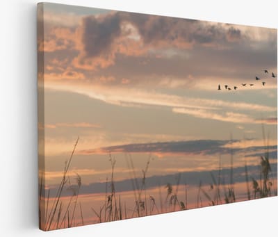 Saammp Muurcirkel Hout - 3 Koeien in de wei - Natuur - Dieren - Ø 90 - Wandcirkel - Wanddecoratie Cirkel - Muurdecoratie Woonkamer - Slaapkamer decoratie - Rond Schilderij