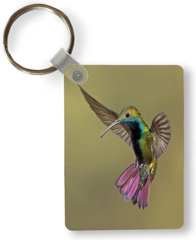 Sleutelhanger - Kolibrie - Groen - Paars - Uitdeelcadeautjes - Plastic
