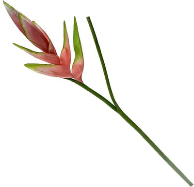 HomeBound by KY | Kunstbloem Heliconia roze | kunsttak