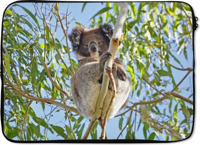 Laptophoes 13 inch - Koala - Bladeren - Lucht - Kinderen - Jongens - Meiden - Laptop sleeve - Binnenmaat 32x22,5 cm - Zwarte achterkant