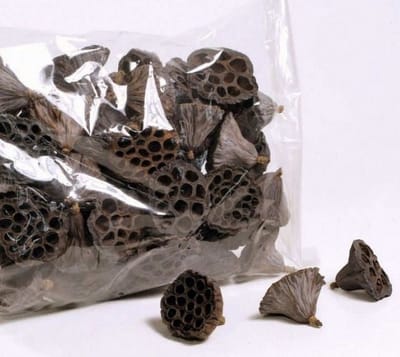 CeramicNature Lotus Pod 1x - Aquarium decoratie - Garnalen aquarium