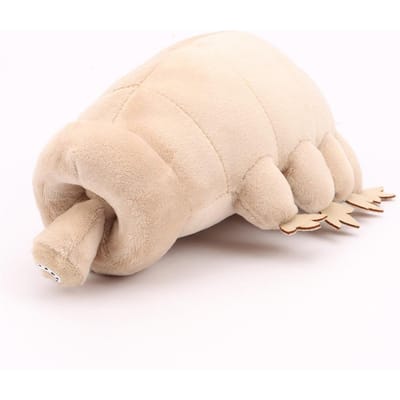 Waterbeer Tardigrade Knuffel Zachte Tardigrade Poppen Knuffeldieren Waterbeer Speelgoed Educatief Speelgoed Voor Kinderen Verjaardagscadeau 22cm