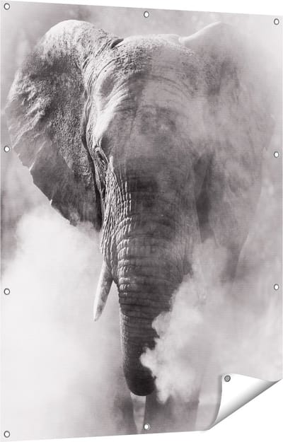 Gards Tuinposter Olifantenkop - Olifant - Zwart Wit - 90x120 cm - Tuindoek - Tuindecoratie - Wanddecoratie buiten - Tuinschilderij