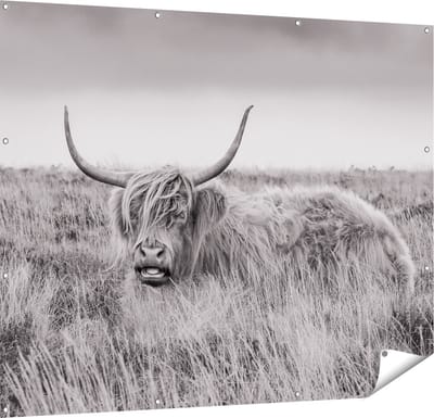 Gards Tuinposter Schotse Hooglander Koe - Zwart Wit - 150x120 cm - Tuindoek - Tuindecoratie - Wanddecoratie buiten - Tuinschilderij