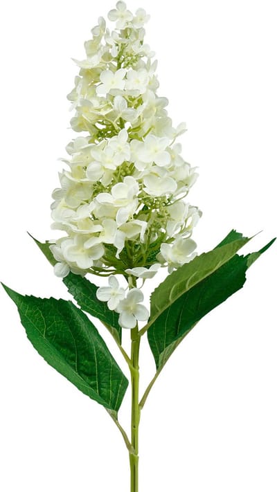 Panicle Hortensia Crème Witte Kunsthortensia Zijden Bloem 98cm