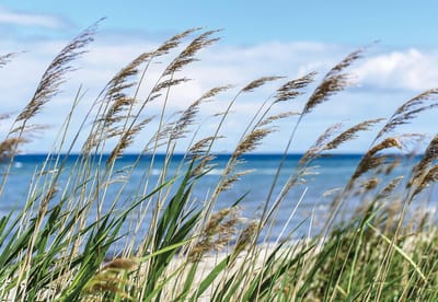 Fotobehang Beach Sea Sand Nature | XL - 208cm x 146cm | 130g/m2 Vlies