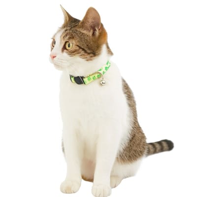 Nobleza Kattenhalsband met Belletje - Kittenhalsband - Veiligheidssluiting - Verstelbaar 20-30 cm - Bladeren - Groen