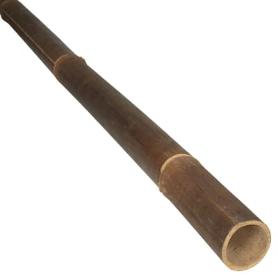 Masters of Bamboo® Bamboe Paal Java - 100 cm - Zwart - Ø 5-7 cm