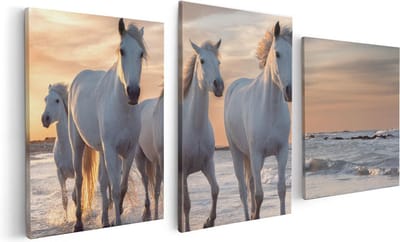 Artaza Canvas Schilderij Drieluik Witte Paarden Op Het Strand Bij Water - 120x60 - Foto Op Canvas - Canvas Print