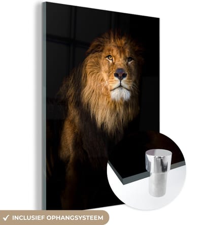 MuchoWow® Glasschilderij 90x120 cm - Schilderij acrylglas - Leeuw - Licht - Zwart - Portret - Foto op glas - Schilderijen