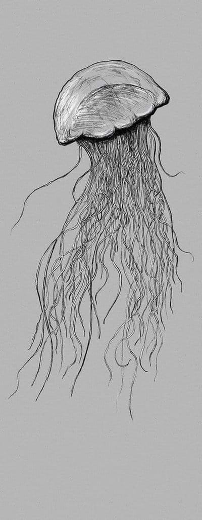 Fotobehang - Jellyfish 100x250cm - Vliesbehang