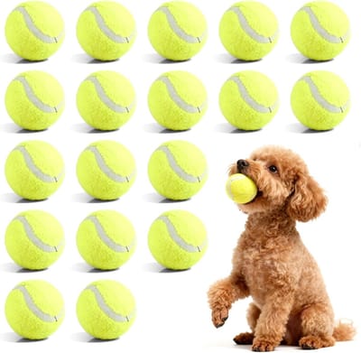 18 stuks tennisballen voor honden, vrije tijd, tennisbal, 5 cm, tennisbal hond, vrijetijdstrainingsballen voor onderwijs, automatische balwerpmachine en hondenspeeltoestel