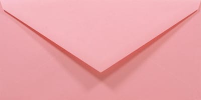 Gladde roze enveloppen DL - 110 x 220 mm - 50 stuks - NK natgelijmde - 80 gram - Rainbow - Netuno