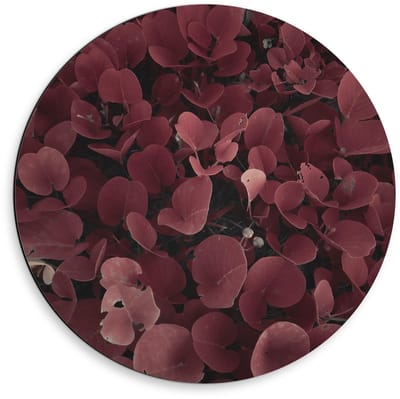 Dibond Wandcirkel - Paarse Bladeren - 50x50cm Foto op Aluminium Wandcirkel (met ophangsysteem)