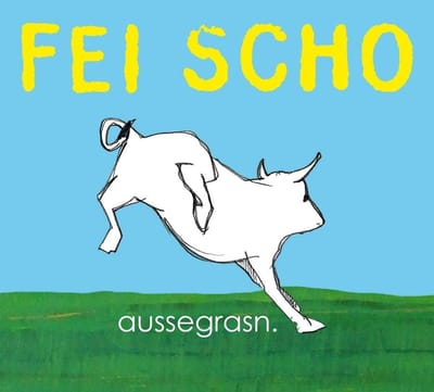 Fei Scho - Aussegrasn (CD)