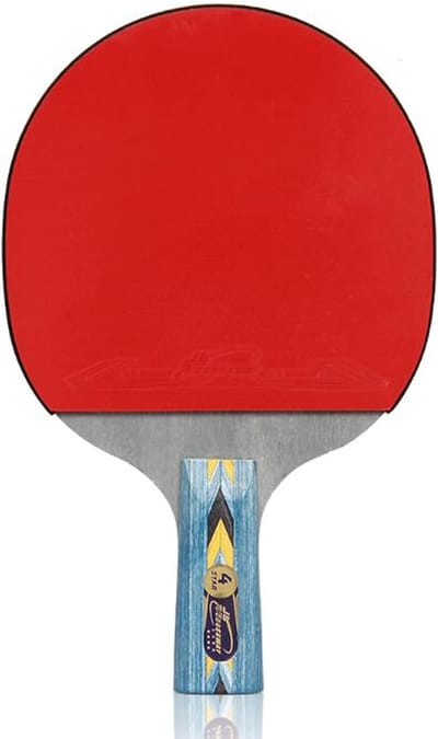 Tafeltennisbatje - 4 Sterren Batje - Beginners Oefenen - Dubbelzijdig Rubber - Lange Handgreep
