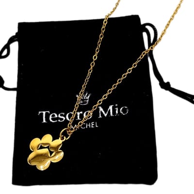 Tesoro Mio Michel –Ketting Met Hanger Hondenpootje – Staal Met Gouden Coating- 45 + 5 cm Verstelbaar