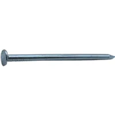 Sencys Spijkers Met Platte Kop Gegalvaniseerd 3x65mm - 20 Stuks