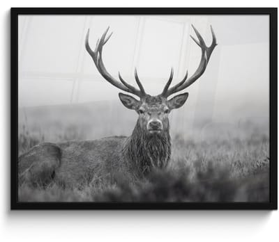 Poster in lijst - Fotolijst 80x60 cm - Posters - Hert - Mistig - Zwart - Wit - Posterlijst zwart - Decoratie - Wanddecoratie woonkamer - Muurdecoratie slaapkamer