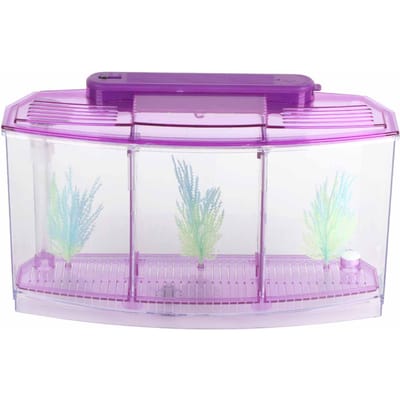 Aquarium Vissenkom LED Acryl Drie Vakken Kweek Isolatiebox voor Kleine Vissen(paars)