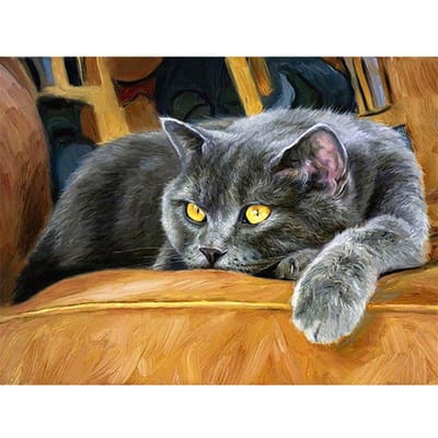 Diamant Schilderij Kat Cartoon Strass Kruissteek Set Diamant Borduurwerk Dierlijk Diamant Mozaïek 20X30CM black
