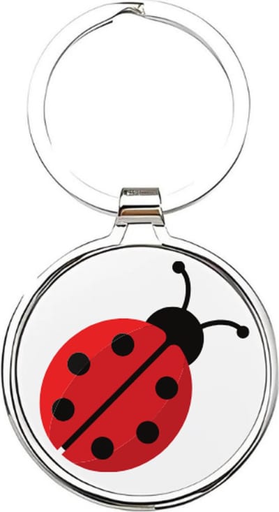 Akyol - lieverheersbeestje Sleutelhanger - lieveheersbeestje - dierenliefhebbers - Insecten - kever - keverbeestje - dieren - geluksbrenger - coccinellid - cadeau voor dierenliefhebbers - insect - kapoentje - 4 x 7,5 CM