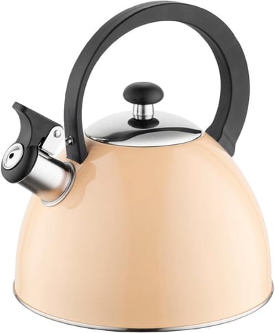 Waterkoker Roestvrijstaal - Fluitketel Keuken - Water Koken - Geschikt voor Alle Fornuizen - 25 Liter - Perzik