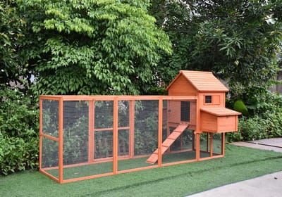Rijoka Houten Kippenhok met Ren - Dierenverblijf Outdoor - 310x150x150cm