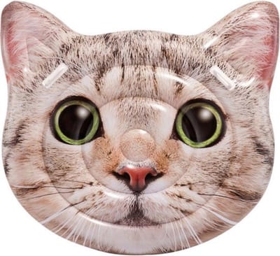 Intex luchtbed kat