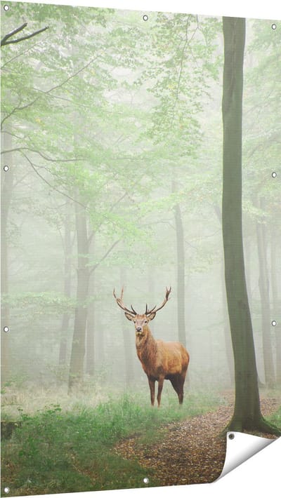 Gards Tuinposter Hert in Bos - 100x150 cm - Tuindoek - Tuindecoratie - Wanddecoratie buiten - Tuinschilderij