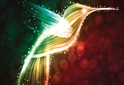 Fotobehang Bird Hummingbird Neon Colours | XL - 208cm x 146cm | 130g/m2 Vlies