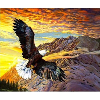 DIY 5D Diamond Painting  Vliegende adelaar  Kruissteek Diamant Borduurpatroon Strass 20X30CM black
