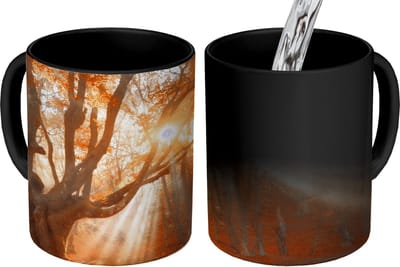 Magische Mok - Foto op Warmte Mokken - Koffiemok - Boom - Natuur - Herfst - Magic Mok - Beker - 350 ML - Theemok
