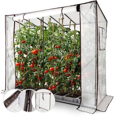 AREBOS Tomatenkas foliekas, kas met deur koelcel,tuin kasfolie 200cm met venster