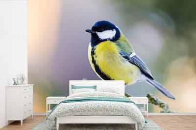 Behang - Fotobehang Koolmees - Vogel - Tak - Breedte 450 cm x hoogte 300 cm