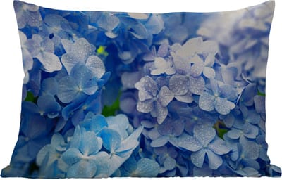 Buitenkussens - Tuin - Hortensia - Waterdruppel - Bloemen - Botanisch - Blauw - 50x30 cm