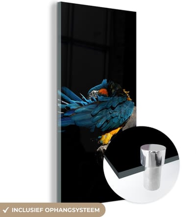 MuchoWow® Glasschilderij 20x40 cm - Schilderij acrylglas - Vogel - Veren - Tak - Zwart - Foto op glas - Schilderijen