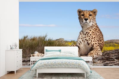 Behang - Fotobehang Luipaard - Dieren - Natuur - Breedte 405 cm x hoogte 260 cm