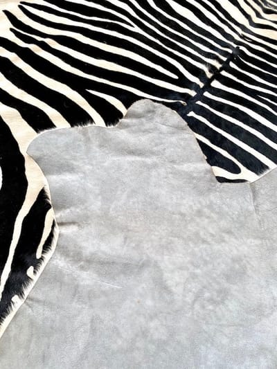 Vloerkleed koeienvel Zebra koevel laagpolig tapijt ca3-4m zebraprint leder