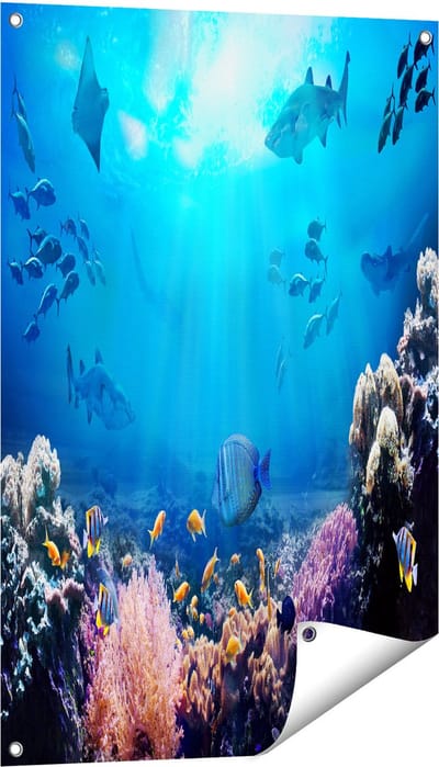 Gards Tuinposter Vissen met Haaien in de Oceaan met Koraalrif - 60x90 cm - Tuindoek - Tuindecoratie - Wanddecoratie buiten - Tuinschilderij