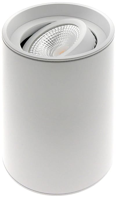 ETH Viggo Opbouwspot rond kantelbaar 51mm Wit D80xH115mm + GU10 fitting