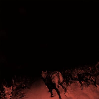 Bambara - Shadow On Everything (LP)
