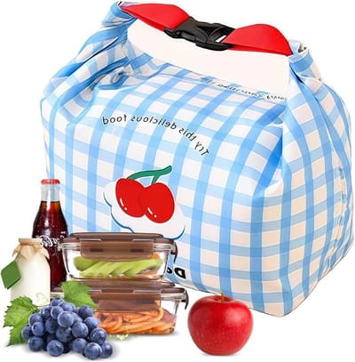 Geïsoleerde lunchtas voor dames, kleine thermotas met ritssluiting voor kantoor, school en dagelijks gebruik, ideaal als koeltas