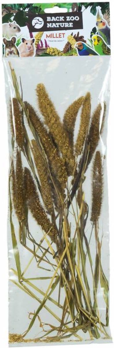 Millet Setaria Italica 50 Gr - BACK ZOO NATURE - Natuurlijke Vogelvoeding, Trosgierst Alternatief