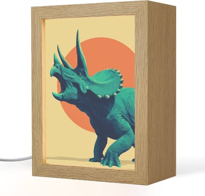Nachtlampje 15x20 cm - Kinder lampje - Triceratops - Cirkel - Oranje - Hoorns - Tafellamp kinderkamer - Slaapkamer lamp - Bedlamp kinderen - Kinderlampje stopcontact - Wandlamp babykamer - Nachtlampjes