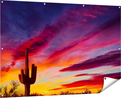 Gards Tuinposter Cactus bij Oranje Zonsondergang - 150x100 cm - Tuindoek - Tuindecoratie - Wanddecoratie buiten - Tuinschilderij