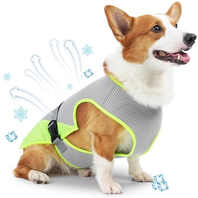 Koelvest Hond S - Coolvest - Verkoelende Jas - Cooling Vest - Koeljas Hond - Verkoeling Hond - Ademende Mesh Hondenjas - UV-bescherming - Verstelbaar - Verkoelende Harnas - Verkoelende Hondenvest - ijsvest - Grijs