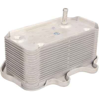 Olie radiator, motorolie THERMOTEC D4N001TT